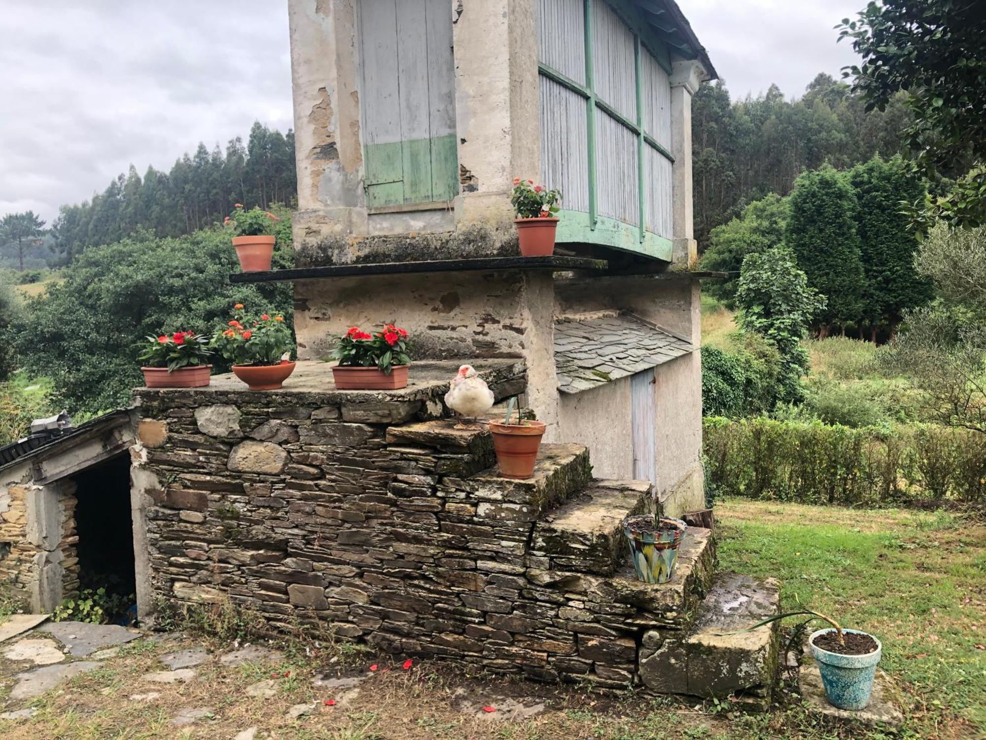 Casa De Campo Pumarada De Oirin Foz Buitenkant foto